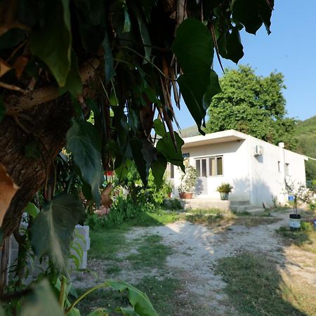 Tropikal Freskia Bunec Sarande Exterior photo